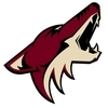 Arizona Coyotes